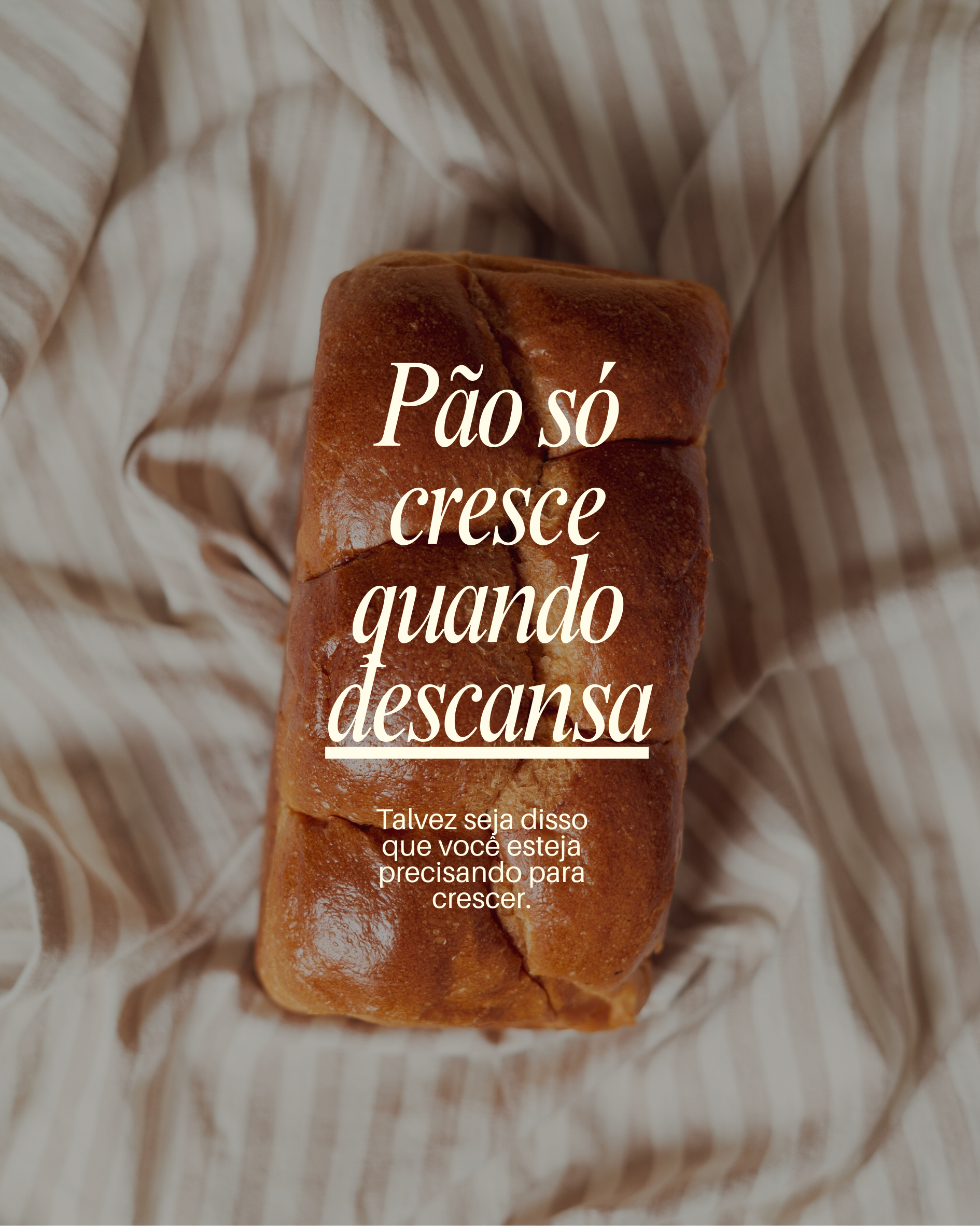 FEED03