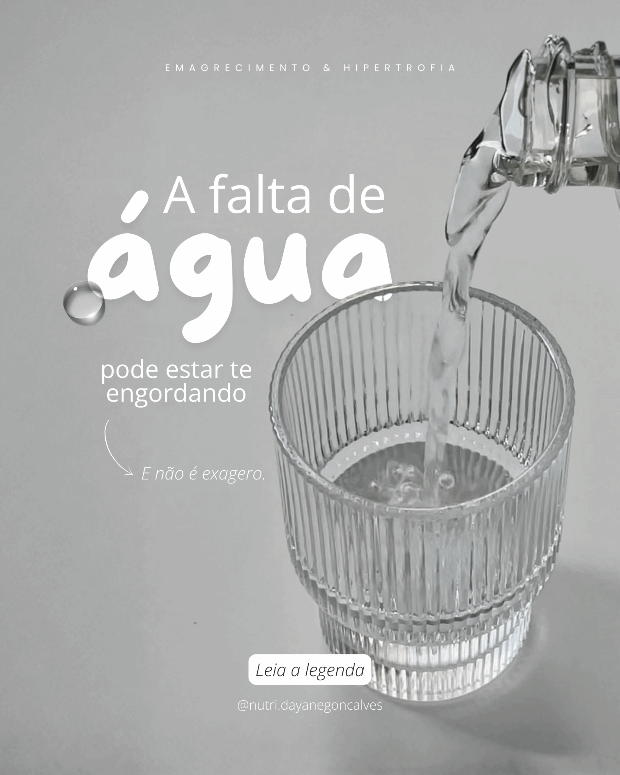 FEED04